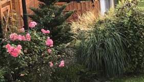 Domek Zamajerz z widokiem na Jezioro - Foto 5