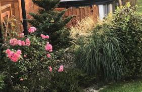 Domek Zamajerz z widokiem na Jezioro - Foto 5