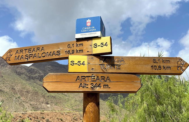 Renovated Tiny House in the Country Near Fataga - Photo 23