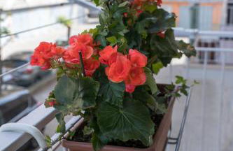 Casa Alderotti - Photo 35