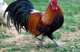 Agriturismo La Casa Di Rodo - Foto 34