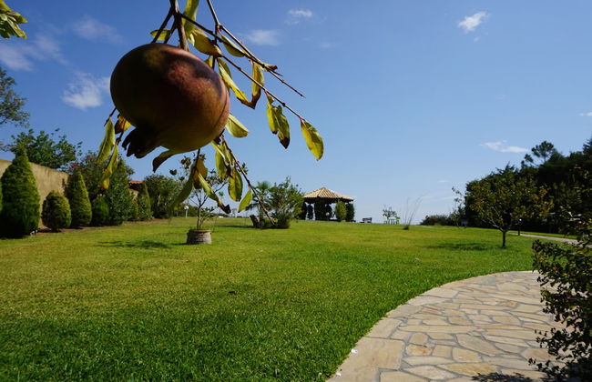 Villa Orama - Foto 76