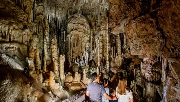 Natural Bridge Caverns Hidden Wonders Tour - Foto 5