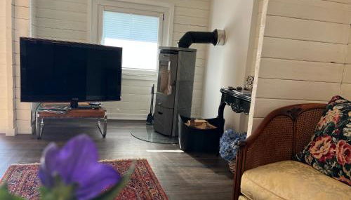 Ferienhaus Wieden am Deich - Foto 5