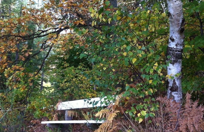 Le Baron Apartments - Photo 41