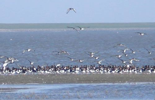 Pippert Comfortable holiday residence - Foto 25