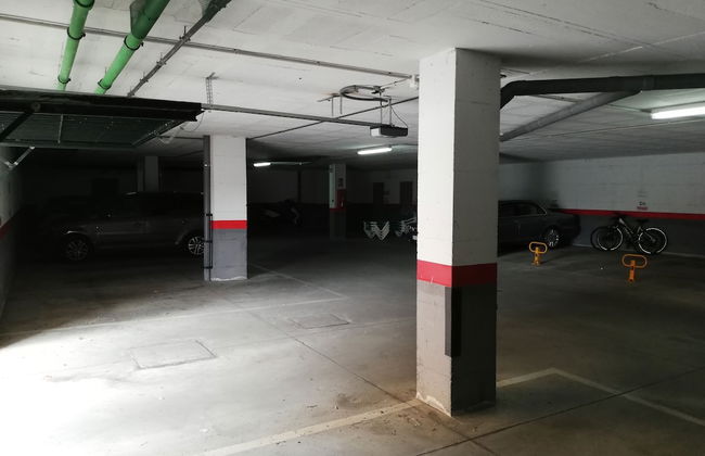 Riviera Del Sol Las Flores - Photo 22