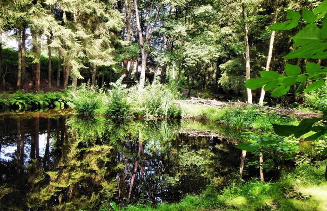 Holiday Home in Houffalize Near Nisramont - Photo 31