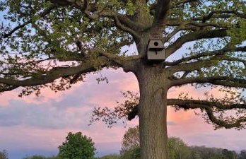 The Acorn - Roudham Norwich - Foto 30