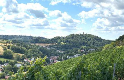 FeWo Sartorius am Hemsberg - Foto 46