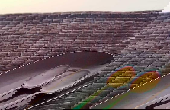 CM Antas Studios - Foto 39