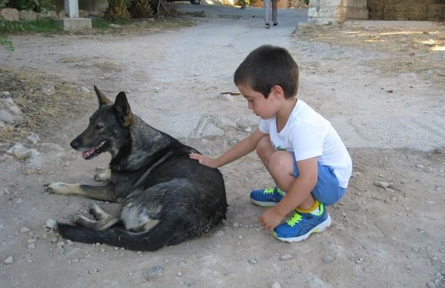 Finca Sa Cova Vella - Photo 42