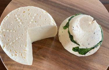 Rancho „Czajone na pigwowcu” - Foto 25