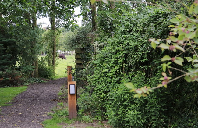 Chalet in Blesdijke Near Weerribben Park - Foto 27
