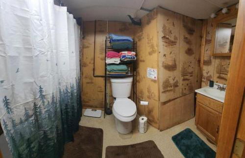 Secluded Lake Cottage Rental with a Dock and a Game Room in Hale, Michigan - Foto 29