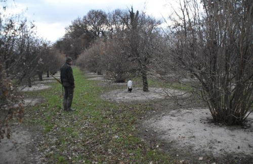 Villa Gaia Truffle Experience - Photo 47