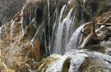 Wooden Villa Old Oak Plitvice Lakes - Foto 6