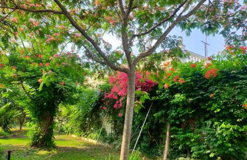 Precioso chalet próximo a Sevilla con jardín y piscina privada 8 personas Wifi gratis 2 salones 4 dormitorios 2 baños - Foto 28