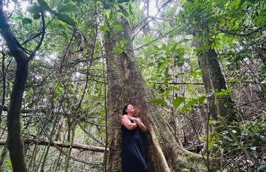 Vale Vijaya bem estar em meio à natureza - Foto 2