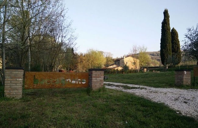 Azienda Agricola Baccagnano - Photo 36