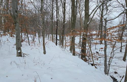 Forest Zen Małastów dom z prywatną balią z widokami na las - Foto 29