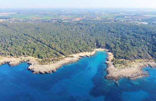 Casa Smeraldo Mare a Sud di Porto Cesareo - Foto 24