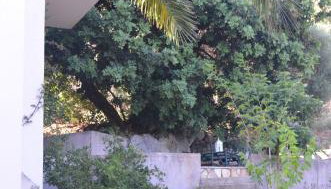 Casa Muraglia Studio/Studio Under Castle - Foto 3