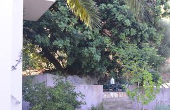 Casa Muraglia Studio/Studio Under Castle - Photo 3