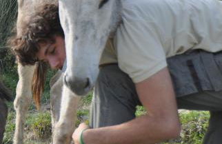 Agriturismo Il Pagliaio - Foto 20