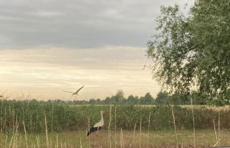 Ferienwohnung Fuchsberge - Foto 28