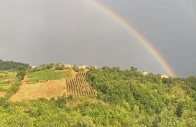 Masseria Marotta - Foto 23