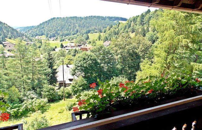 Ferienwohnung mit Talblick in Todtmoos - Photo 38
