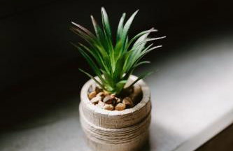 Brzozowa Osada - Foto 29