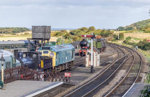 Woodpecker - Photo 49