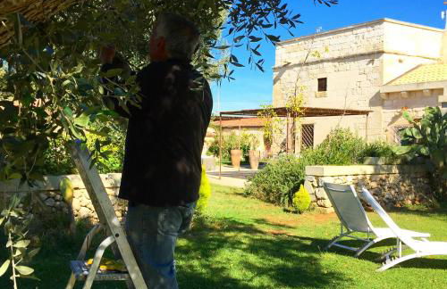 Masseria Vittoria - Foto 45