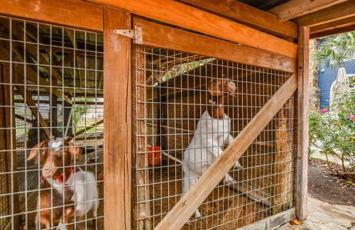 Cozy Oasis in SE Austin - Foto 20