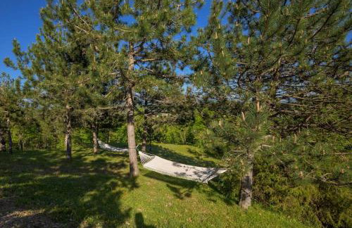 Villa Mirna by Istrialux - Foto 25