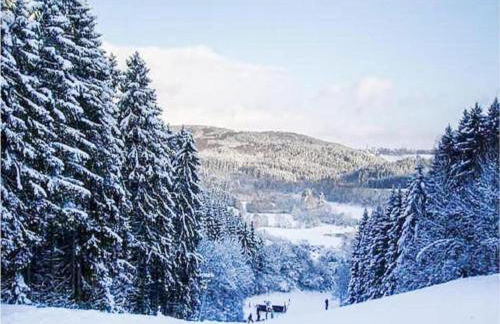 Hontheim Farmhouse Retreat - Foto 32