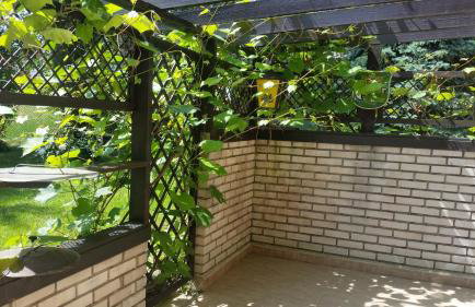 Świnna - Brzozowy Zagajnik - Foto 31