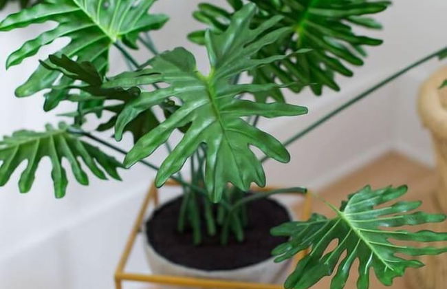 Stylish & Unique 3 Bdr Flat With Parking! - Foto 62