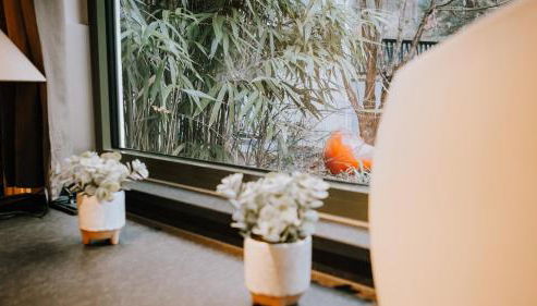 Rotwein Residenz Klingenberg Luxus Suite mit Weitblick Hollands Pfefferhaus - Foto 3