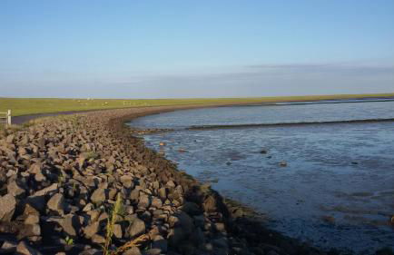 Goden Wind 20 - Foto 10