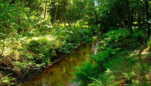 Ferienwohnung Niemann in Lutterloh - Photo 3