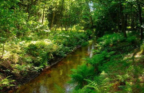 Ferienwohnung Niemann in Lutterloh - Photo 3