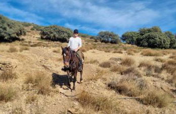 Apartment Costa Tropical Mar & Sierra Licence VUT GR 14218 - Foto 39