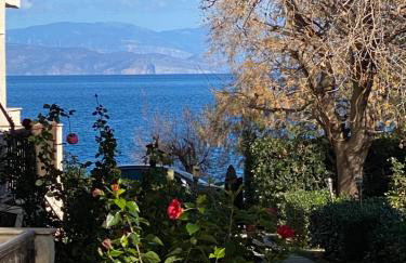 Luxury Apartment - Foto 23