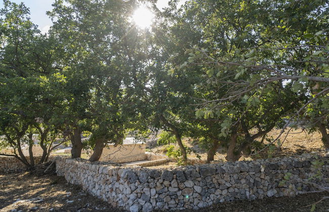 DONNAPAOLA MODERN FARM - Foto 53