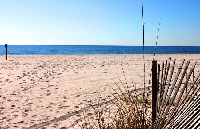 Sea Oats 102c- Beach View Pool 25 Steps to Beach - Photo 25