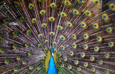 Agriturismo Dolcetna - Foto 27