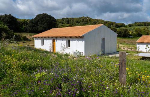 Agriturismo Cultisia Luogosanto - Foto 21